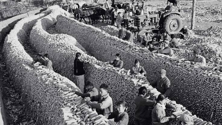 cf048260-2012-11e3-8861-00144feab7de